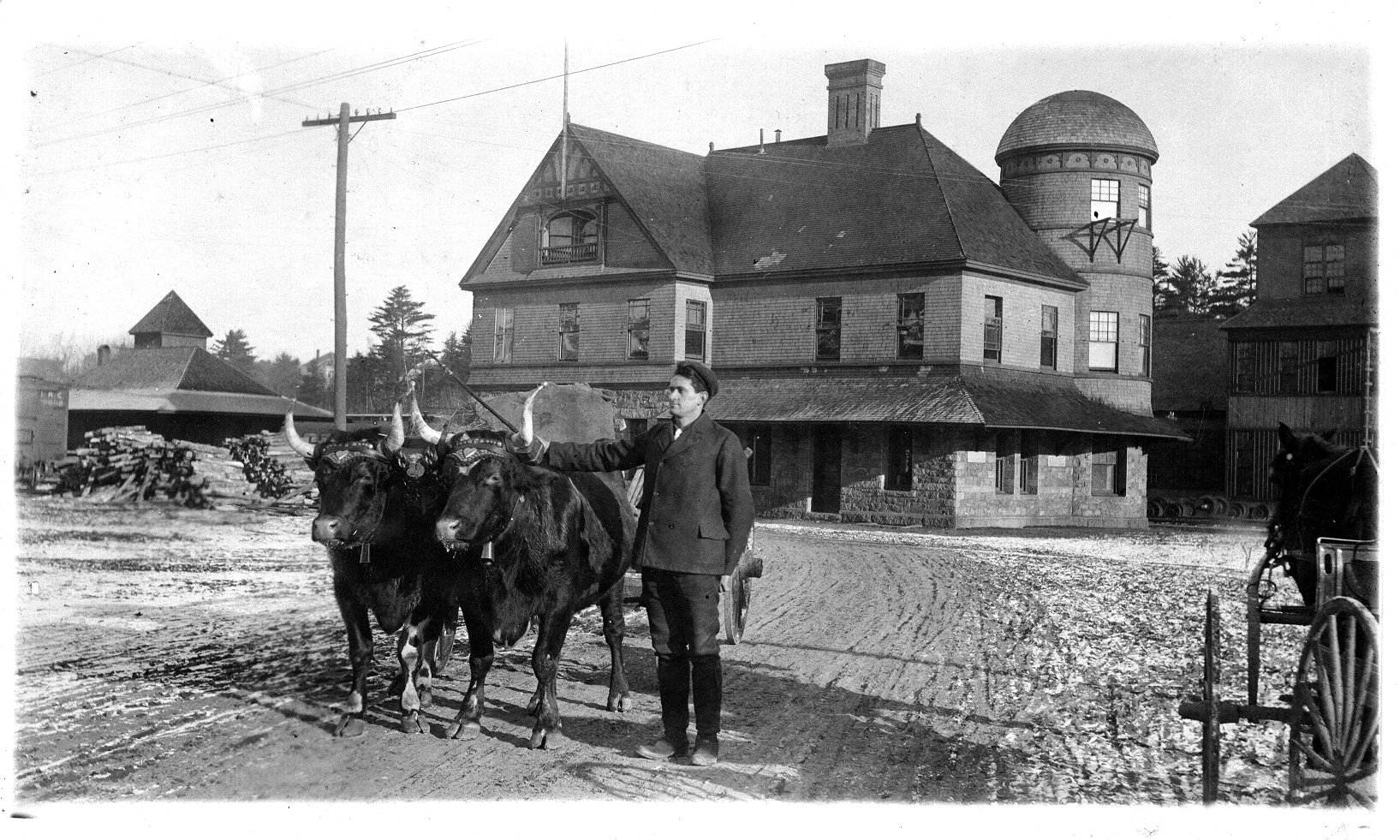 A team of oxen at the Bridgewater Station , photo from Duane Porter (HSRM) 