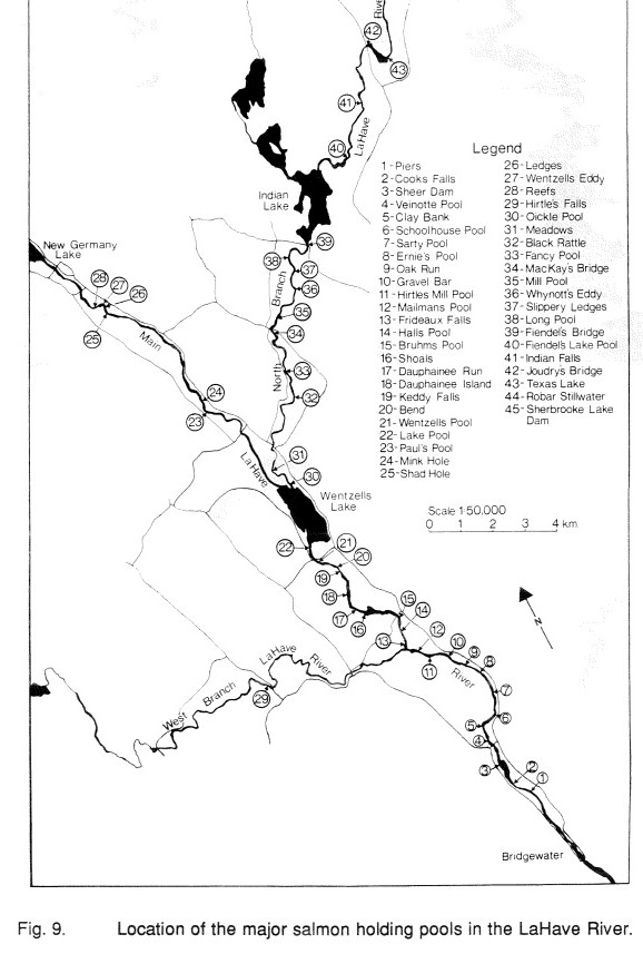 Salmon Pools along the LaHave, from the Department of Fisheries and Oceans (DFO) 